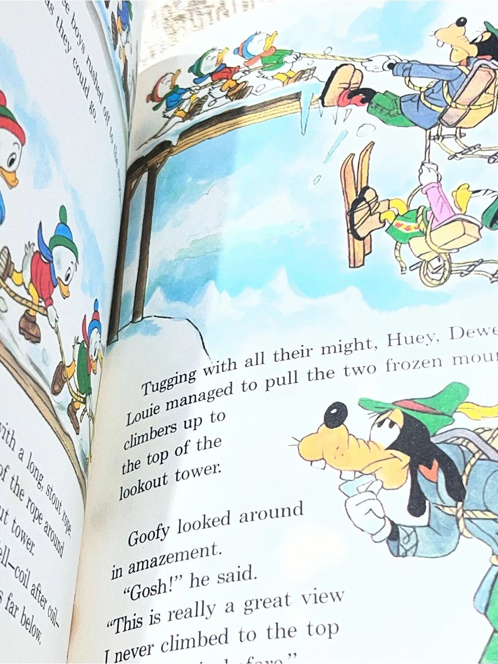 Walt Disney Donald Duck: Mountain Climber Book